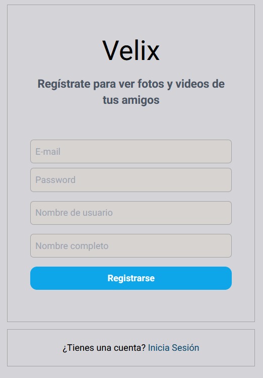interfaz de log in